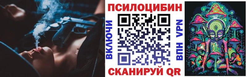 Псилоцибиновые грибы прущие грибы  где можно купить   Кизел 